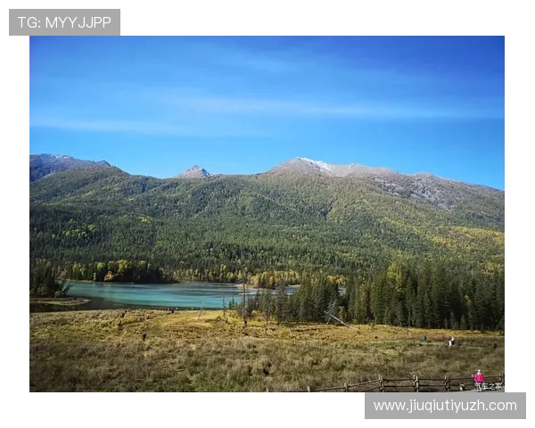 OD体育官网登录最新入口，便捷安全快速实现账号登录与游戏体验