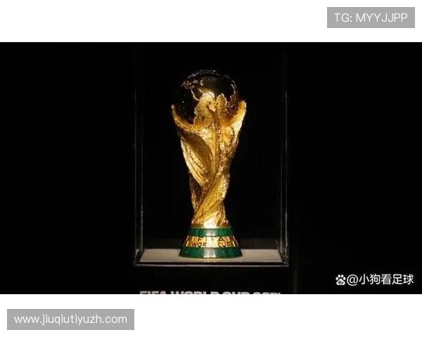 2026年非洲区世界杯预选赛积分榜详细解读与最新排名变化趋势